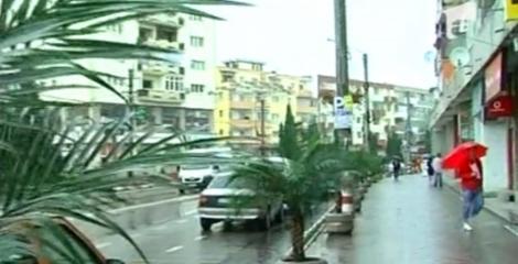 VIDEO! A fost prins hotul de palmieri din Eforie