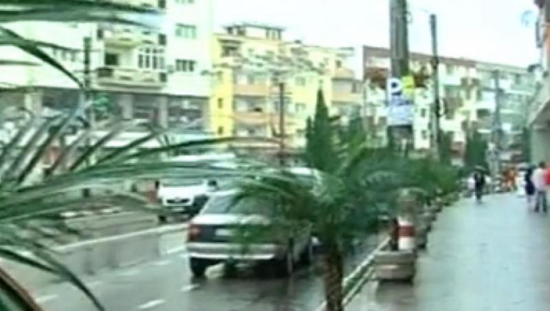 VIDEO! A fost prins hotul de palmieri din Eforie