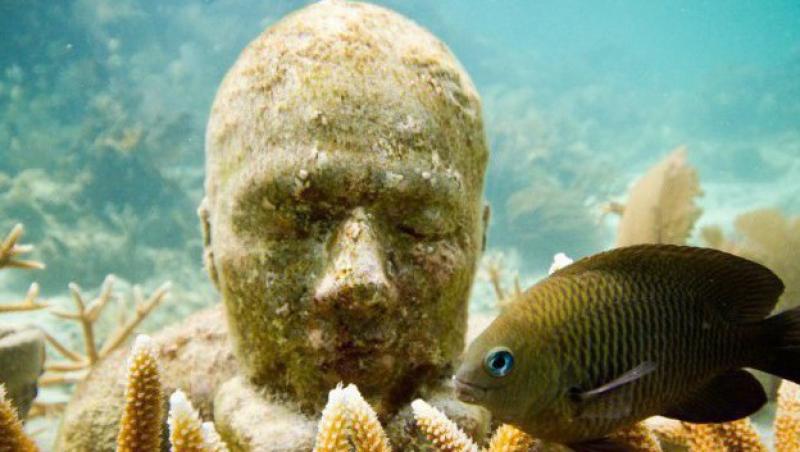FOTO! Cel mai mare muzeu subacvatic din lume isi mareste numarul de exponate