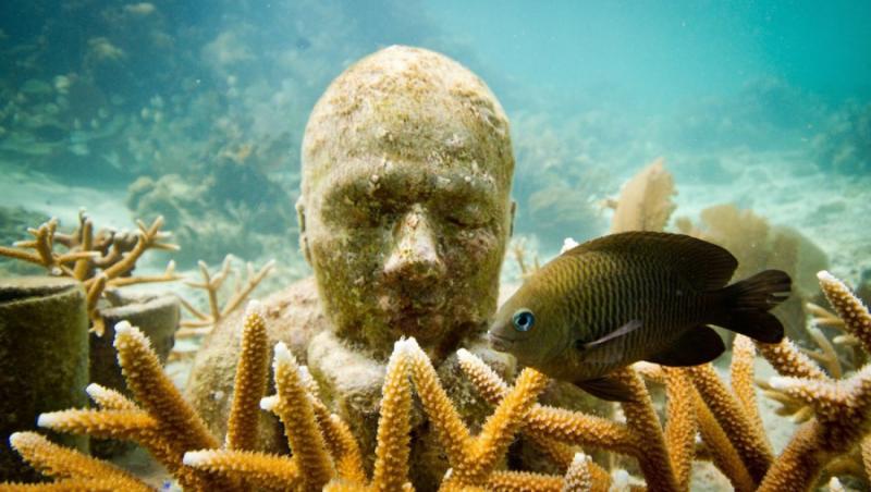 FOTO! Cel mai mare muzeu subacvatic din lume isi mareste numarul de exponate
