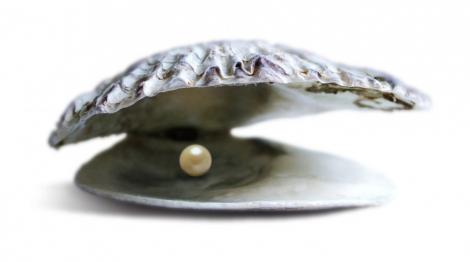 Cea mai veche perla din lume a fost descoperita in Emiratele Arabe Unite