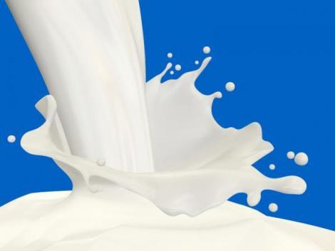 O molecula minune din lapte si bere ar putea preveni obezitatea