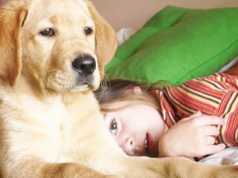 Copiii care cresc alaturi de animale de companie sunt mai sanatosi