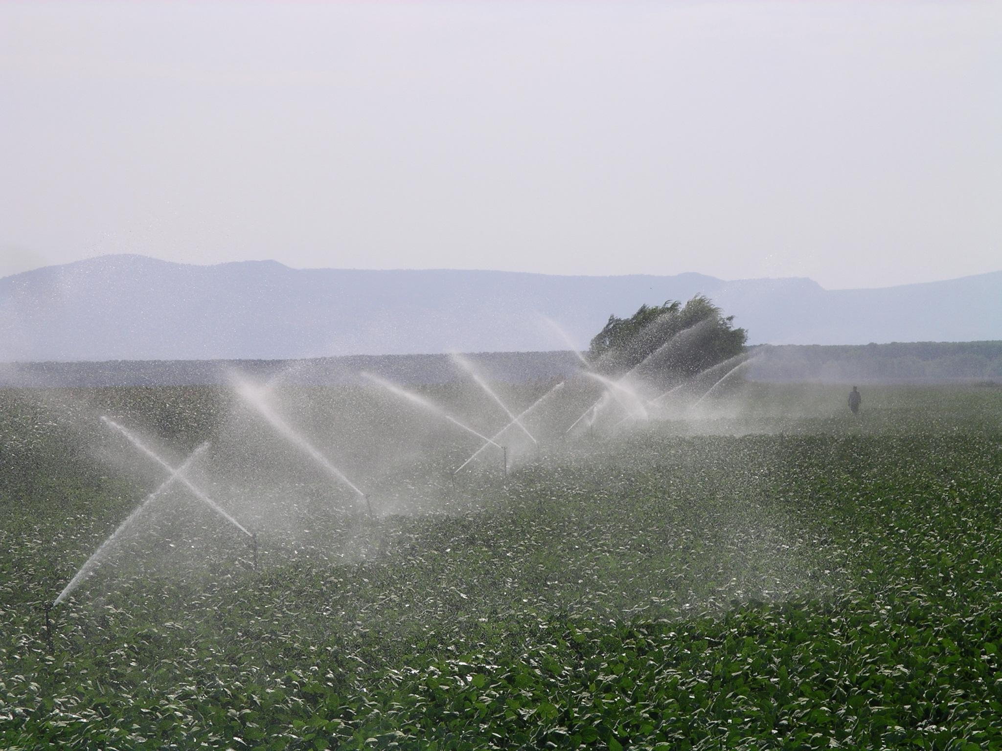Seceta: Premierul Victor Ponta promite subventionarea energiei pentru irigatii