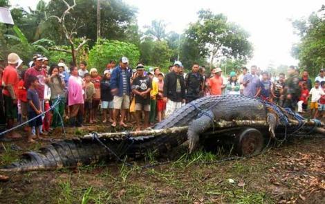 Cel mai mare crocodil din lume traieste in Filipine