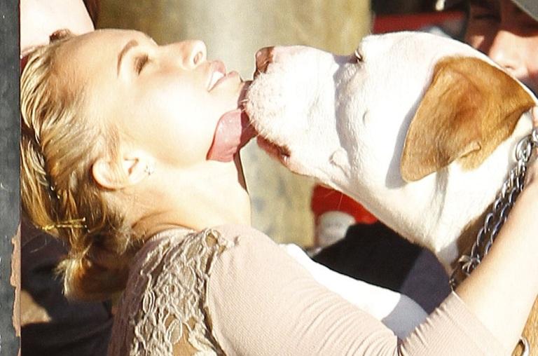 Hayden Panettiere saruta cu foc un... Pitbull!