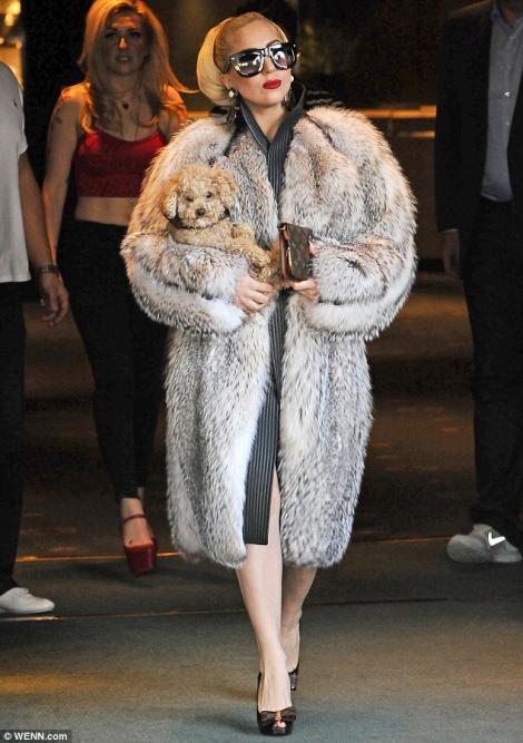 Lady Gaga, antiteza scandaloasa: a iesit pe strazile din Sofia cu o blana autentica si un caine in brate!