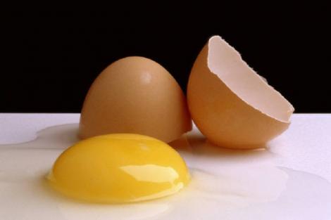 Va vine sa credeti? A fost inventat galbenusul de ou... vegetal!