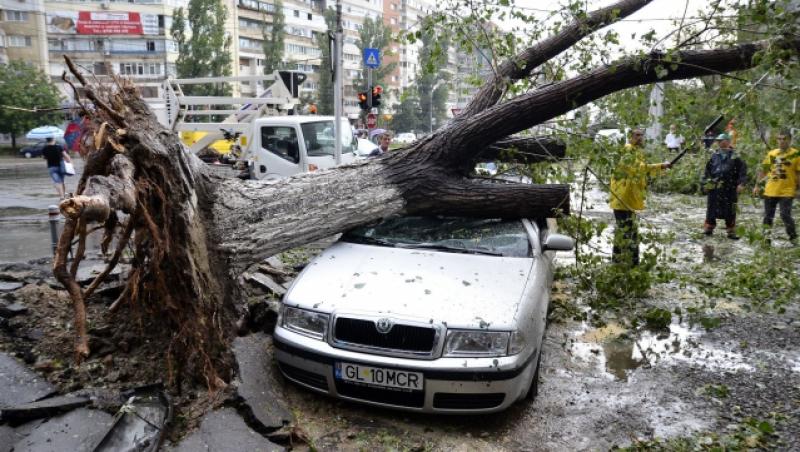 Romania, maturata de vijelii: copaci rupti, masini luate de ape, trafic blocat