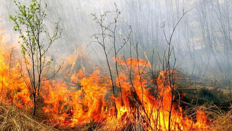 Seceta acuta: Incendiul din Masivul Bucegi s-a reactivat
