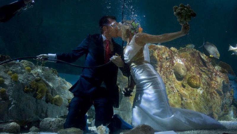 Spania: S-au casatorit intr-un acvariu, printre pestisori
