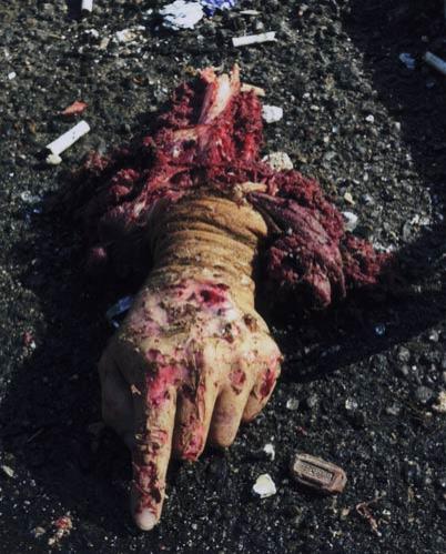 11 septembrie 2001.                     FOTOGRAFIILE