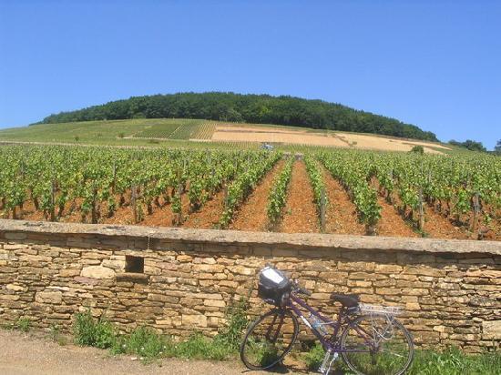 Burgundia, patria vinurilor si gastronomiei din inima Frantei