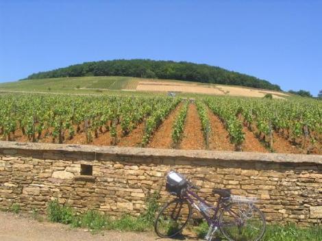 Burgundia, patria vinurilor si gastronomiei din inima Frantei