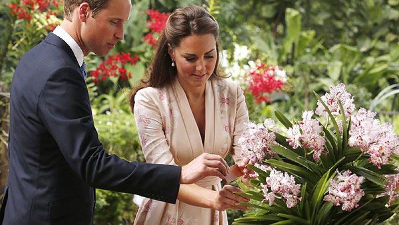 Printul William al Marii Britanii si ducesa de Cambrigde vor sa aiba doi copii