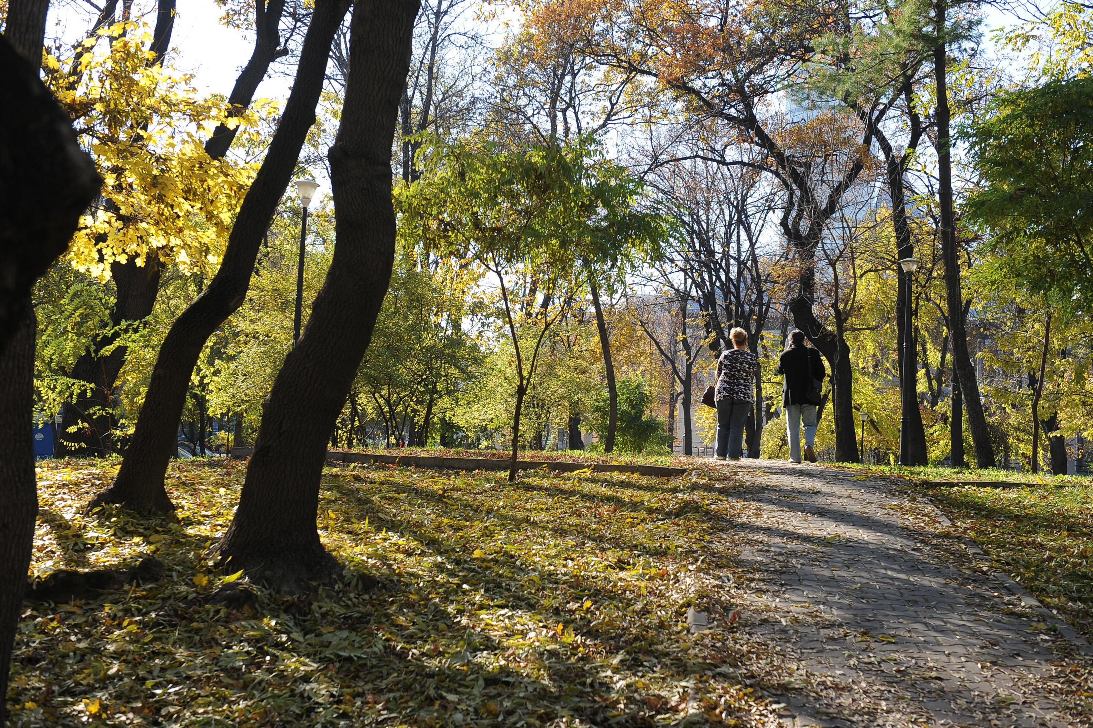 Astazi, are loc echinoctiul de toamna! Ziua va fi egala cu noaptea