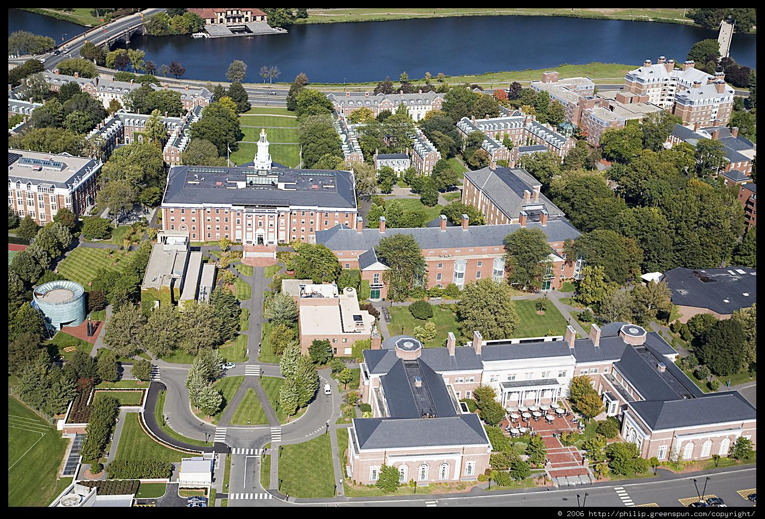 Congratulations, Costelus Busuioc! Shame on you, Harvard! 