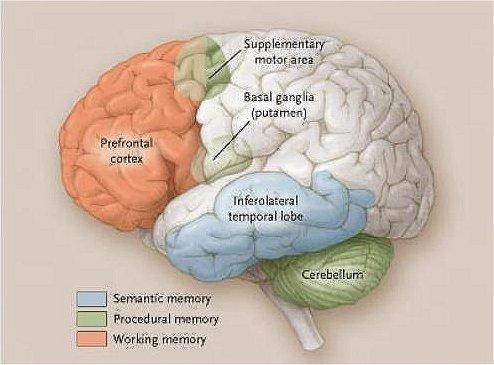 SENZATIONAL: O femeie stie ce a facut in fiecare zi a vietii! Are 40 de ani!