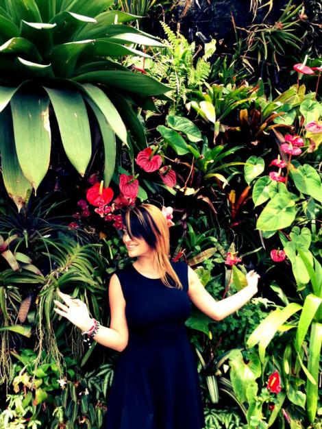 GALERIE FOTO Delia, ca in Avatar, printre florile luxuriante din Gradina Botanica Singapore