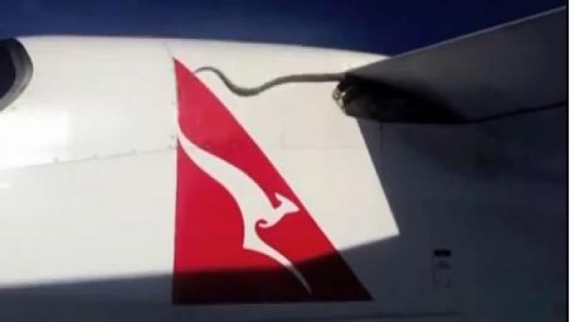 VIDEO! Un sarpe de trei metri, pasager clandestin pe aripa unui avion
