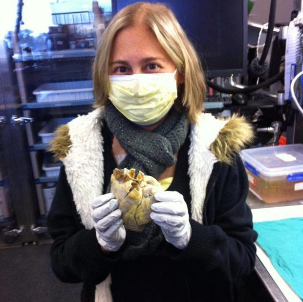 Isi tine propria inima in maini!!!