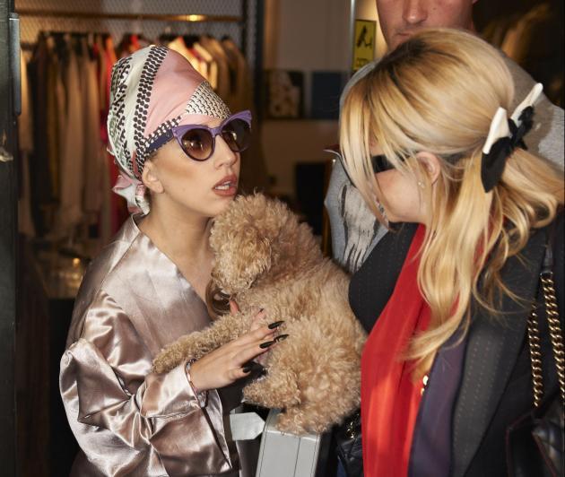 Cand n-ai ce face.... Lady Gaga isi invata catelul sa deseneze