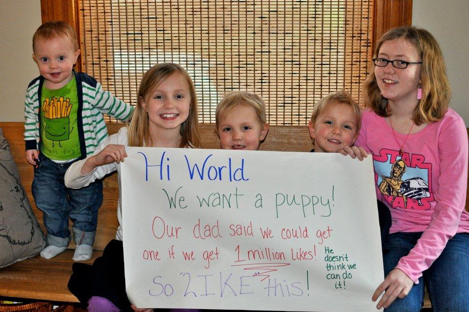 Doua fetite din SUA au strans 1,5 milioane de like-uri pe Facebook pentru a primi un catelus