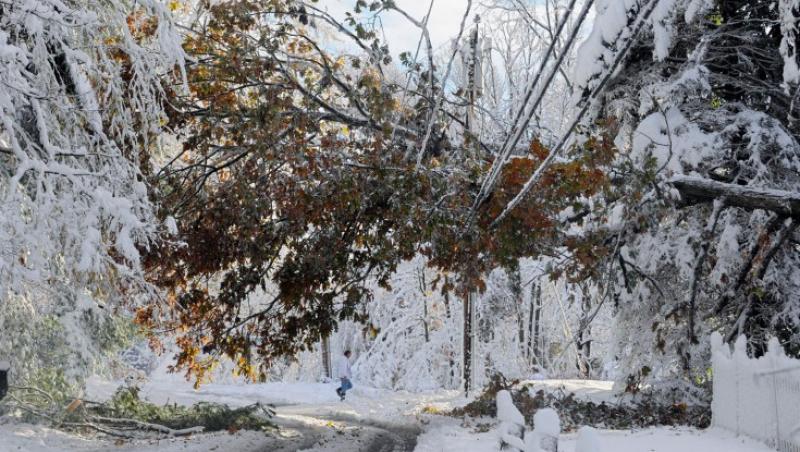 Zapada a cauzat ravagii in Arad: 19 localitati au ramas fara curent electric