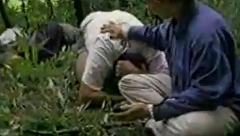 Daca nu vezi, nu crezi! Bocesc dupa copacii cazuti din SUA ca dupa oameni!