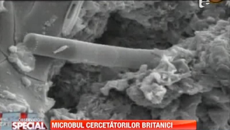 Observator Special: A fost descoperit microbul... extraterestru!
