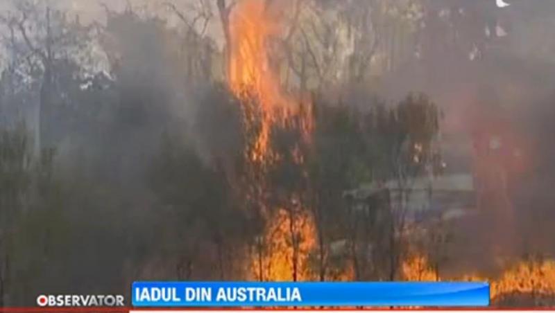 Australia, cuprinsa de un val de incendii de vegetatie