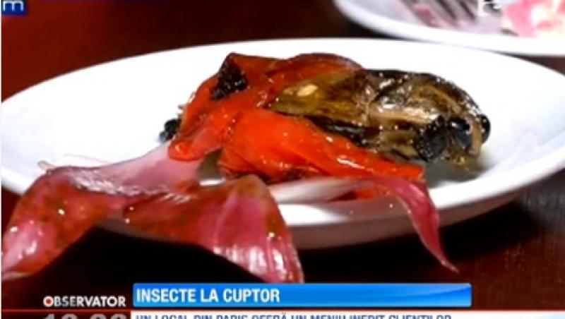 Un restaurant din Paris serveste doar preparate din insecte 