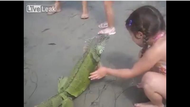 Momentul pe care nu-l va uita niciodata. Ti-ar placea sa traiesti si tu asta?