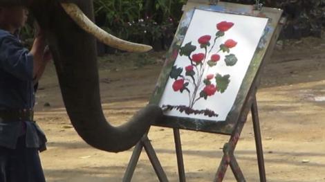 VIDEO! Un elefant face arta cu trompa! Picteaza la fel de bine ca un om