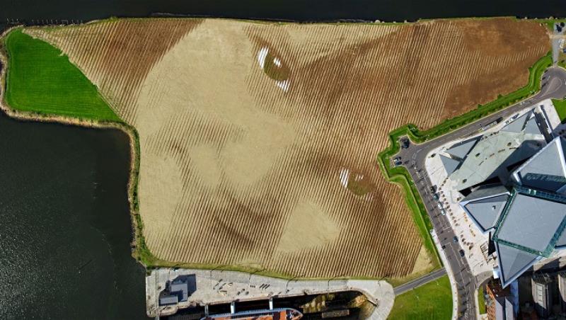 VIDEO! Un artist a realizat cel mai mare portret de pe pamant britanic! La propriu! Masoara 11 hectare