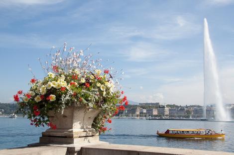  9 motive sa vizitezi Geneva