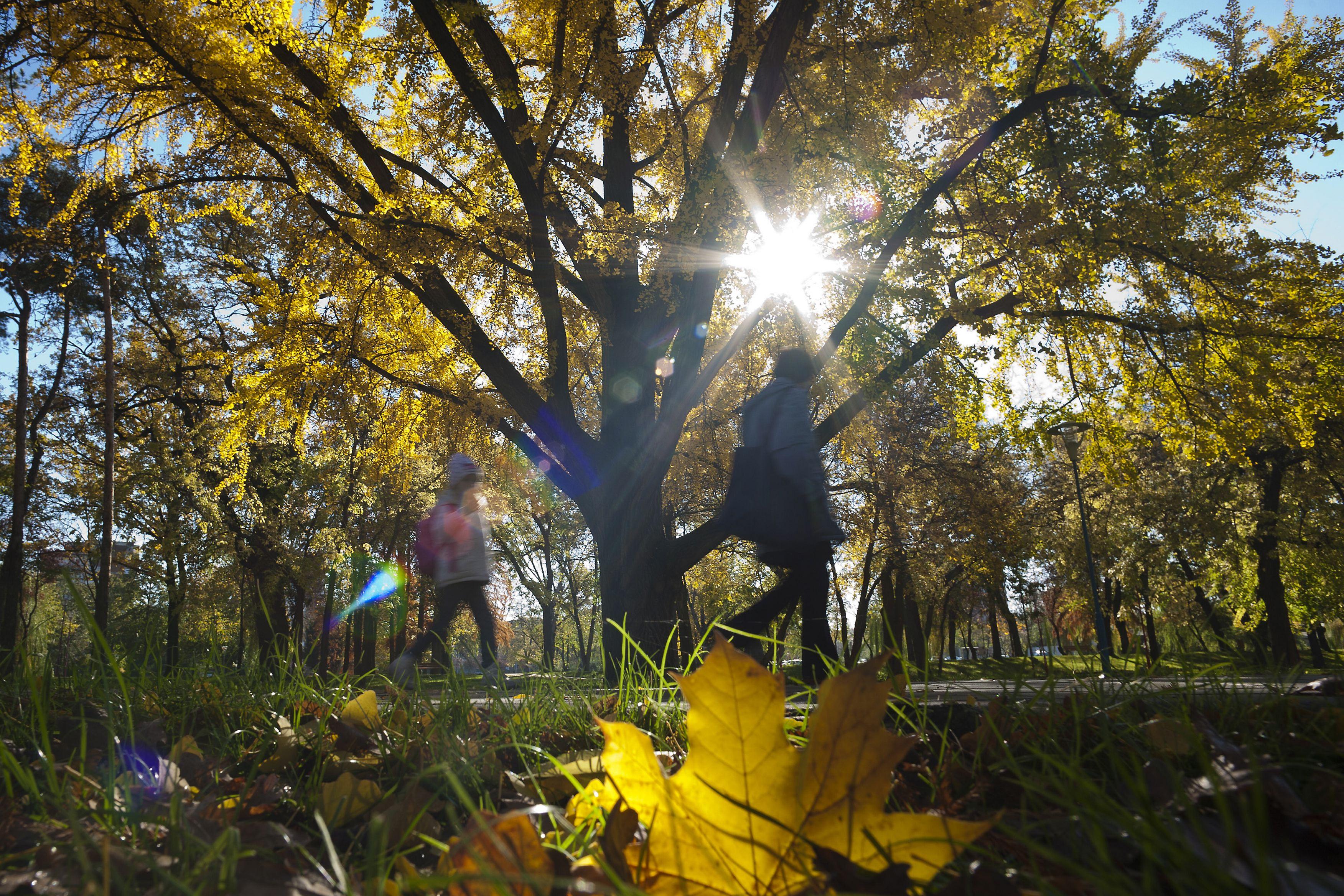 Vremea se incalzeste! Prognoza METEO pentru inceputul saptamanii