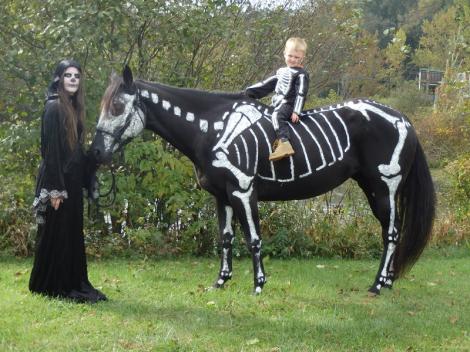 GALERIE FOTO! Un cal deghizat in schelet a facut furori de Halloween!