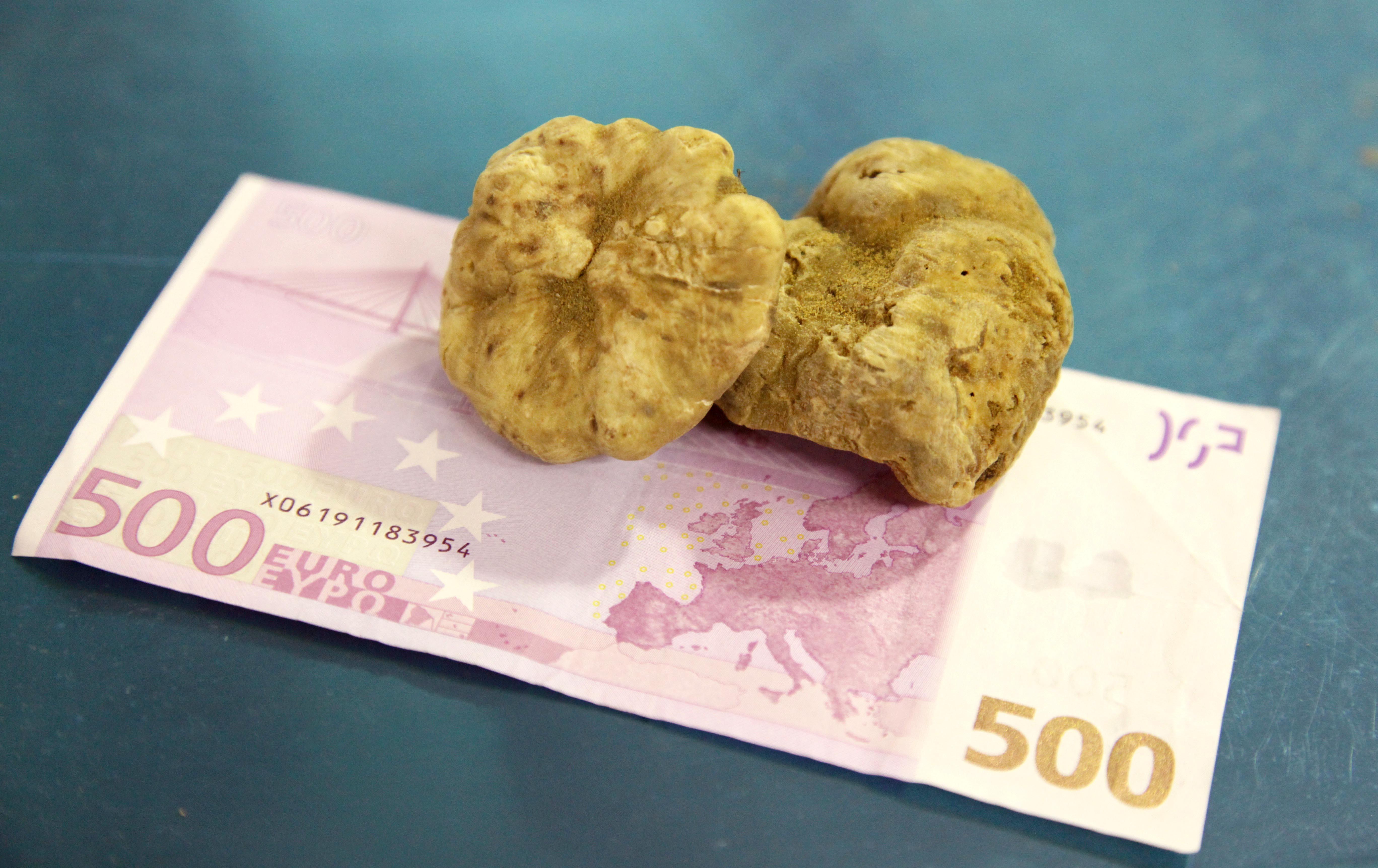 Fiţe culinare! 11 trufe albe, v&acirc;ndute la licitaţie cu aproape 300.000 de euro