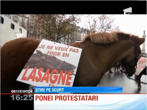 Caii și poneii protestează la Paris, față de creșterea taxelor
