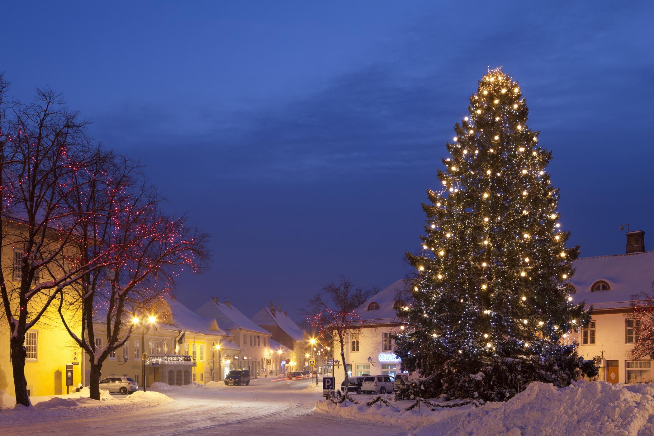 Un brad bătr&acirc;n de 125 ani a fost &icirc;mbodobit &icirc;n centrul Braşovului!