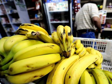 O ciupercă ce afectează bananele poate îmbolnăvi oamenii!