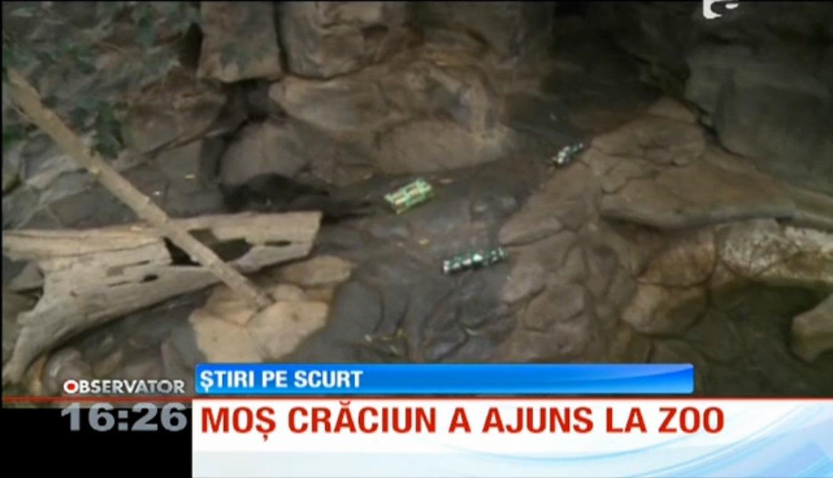 Moș Crăciun a făcut cadouri animalelor de la Zoo