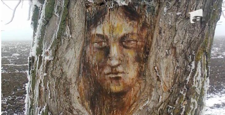 Pe trunchiul unui copac a apărut chipul lui Hristos
