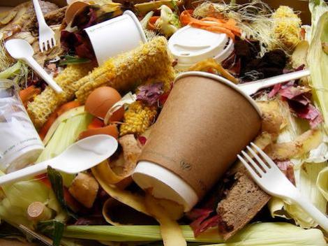Jumatate din toate alimentele produse in lume sunt aruncate la GUNOI, in fiecare an