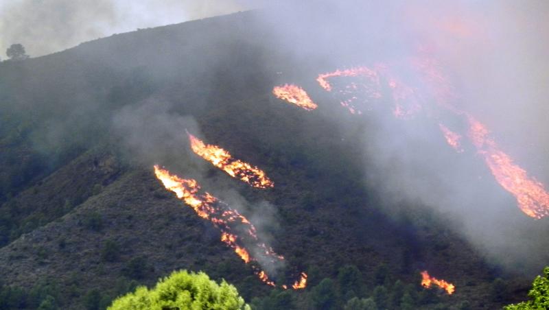 Incendiu de padure in Chile. Oamenii si-au pierdut agoniseala de-o viata