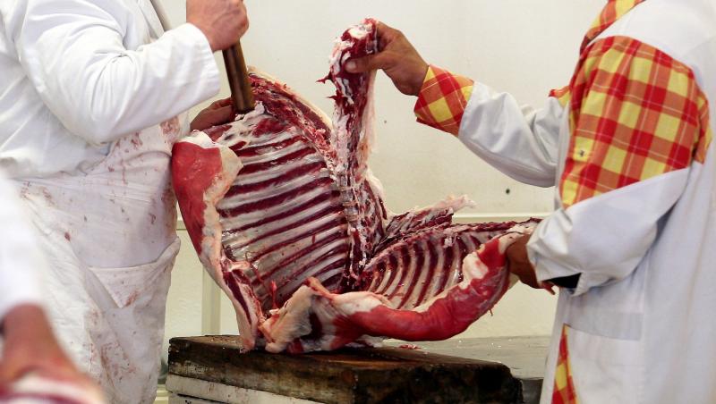 SOCANT! Carnea de cal a ajuns in restaurante si fast-food-uri! Reprezentantii firmei sunt anchetati si pentru falsificarea etichetelor