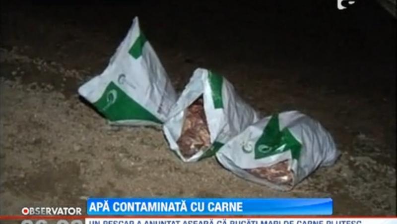 Alerta in Cluj: Sute de kilograme de carne au fost gasite aruncate in lacul Tarnita