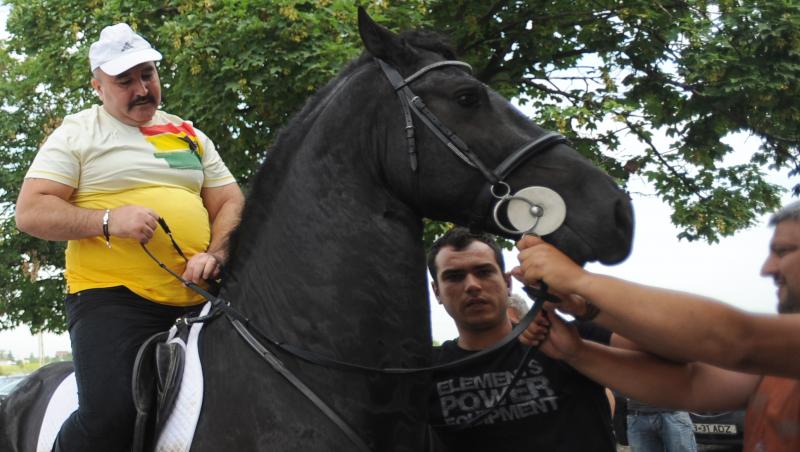 UPDATE! Leii confiscati din curtea lui Nutu Camataru vor ajunge la gradina zoologica din Bucov