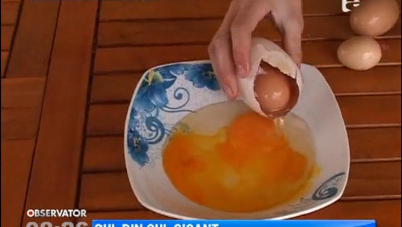Descoperire inedita in judetul Arges: Un ou, intr-un alt ou!